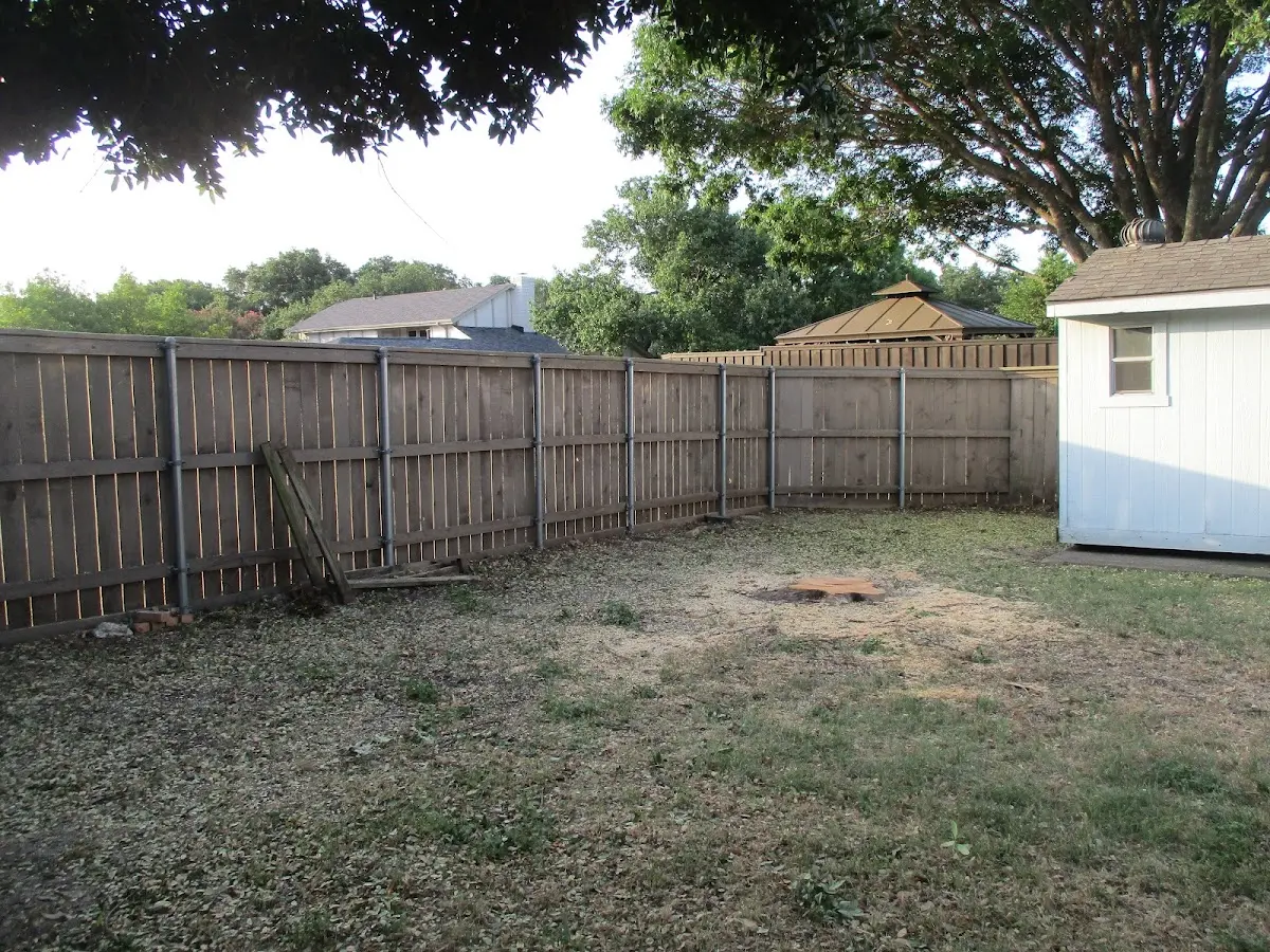 Cleared yard after professional tree removal in Garrattsville